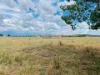 56 Northeys Road, Arding, NSW 2358-Image