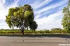 56 Para Road, Tanunda, SA 5352-Image