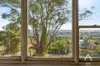 56 Salisbury Crescent, West Launceston, Tas 7250