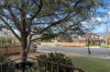 56 Scoresby Road, Bayswater, Vic 3153-Image