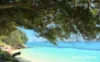 56 Ullora Close, Nelson Bay, NSW 2315-Image