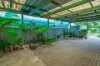 561 Kemp Street, Lavington, NSW 2641-Image