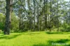 562 Little Forest Road, Little Forest, NSW 2538-Image