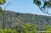 562 Little Forest Road, Little Forest, NSW 2538-Image