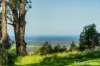 562 Little Forest Road, Little Forest, NSW 2538-Image