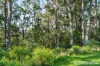562 Little Forest Road, Little Forest, NSW 2538-Image
