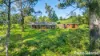 562 Little Forest Road, Little Forest, NSW 2538-Image