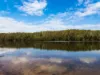 562 The River Road, Currowan, NSW 2536-Image