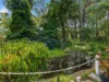 5620 South Gippsland Highway, Agnes, Vic 3962-Image