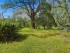 5620 South Gippsland Highway, Agnes, Vic 3962-Image