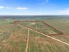563 Diagonal Road, Sandleton, SA 5356-Image