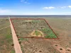563 Diagonal Road, Sandleton, SA 5356-Image