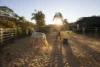 564 Eudlo Road, Eudlo, Qld 4554-Image