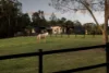 564 Eudlo Road, Eudlo, Qld 4554-Image