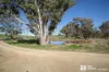 564 Triamble Road, Hargraves, NSW 2850-Image