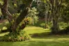 566 Friday Hut Road, Possum Creek, NSW 2479-Image