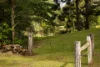 566 Friday Hut Road, Possum Creek, NSW 2479-Image