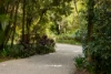 566 Friday Hut Road, Possum Creek, NSW 2479-Image