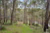 567 Del Park Road, Fairbridge, WA 6208-Image