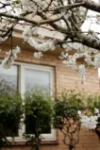 57 Alexandra Parade, Hamilton, Vic 3300-Image