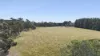 57 Alisons Road, Drummond North, Vic 3446-Image