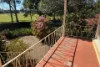57 Allawah Avenue, Carss Park, NSW 2221-Image