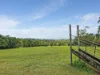57 Anderson Road, Peeramon, Qld 4885-Image