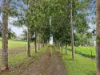 57 Anderson Road, Peeramon, Qld 4885-Image