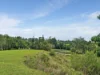 57 Anderson Road, Peeramon, Qld 4885-Image