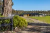 57 Carlton River Road, Dodges Ferry, Tas 7173
