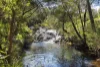 57 Coppin Grove, Redgate, WA 6286-Image