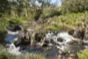 57 Coppin Grove, Redgate, WA 6286-Image