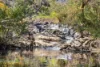 57 Coppin Grove, Redgate, WA 6286-Image