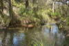 57 Coppin Grove, Redgate, WA 6286-Image