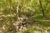 57 Fordyce Close, Currumbin Valley QLD 4223-Image