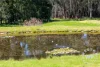 57 Hawthorne Road, Mylor, SA 5153-Image
