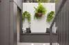 57 Justin Street, Lilyfield, NSW 2040-Image