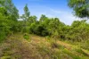 57 Mangrove Road, Narara, NSW 2250-Image