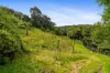 57 Mangrove Road, Narara, NSW 2250-Image