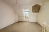 57 Marion Street, Leichhardt, NSW 2040-Image