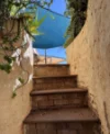 57 Meares Drive, Point Samson WA 6720-Image