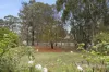 57 Moscript Street, Campbells Creek, Vic 3451-Image