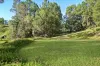 57 Old Gympie Road, Yandina, Qld 4561-Image