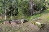 57 Old Gympie Road, Yandina, Qld 4561-Image