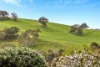 57 Rachel Circuit, Nairne, SA 5252-Image