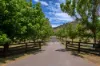 57 Rifle Range Road, Mudgee, NSW 2850-Image