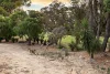 57 Royal Melbourne Avenue, Connolly, WA 6027-Image