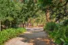 57 Sheoak Road, Belair, SA 5052-Image