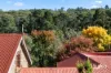 57 Sturt Valley Road, Stirling, SA 5152-Image