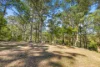 57 Tall Timber Road, Lake Innes, NSW 2446-Image